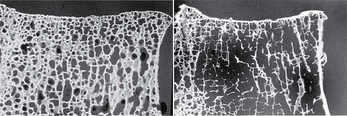 Cellular Materials Fig. 5.13