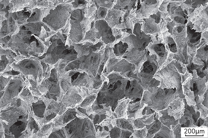 Cellular Materials Fig. 8.9